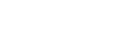 logo tipo blnaco destino china